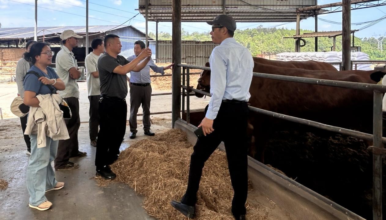 深化产教融合 赋能畜牧发展 ——best365官网专家团队赴楚雄开展科技服务工作
